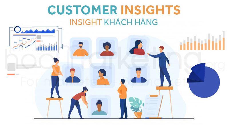 Insight khách hàng là gì